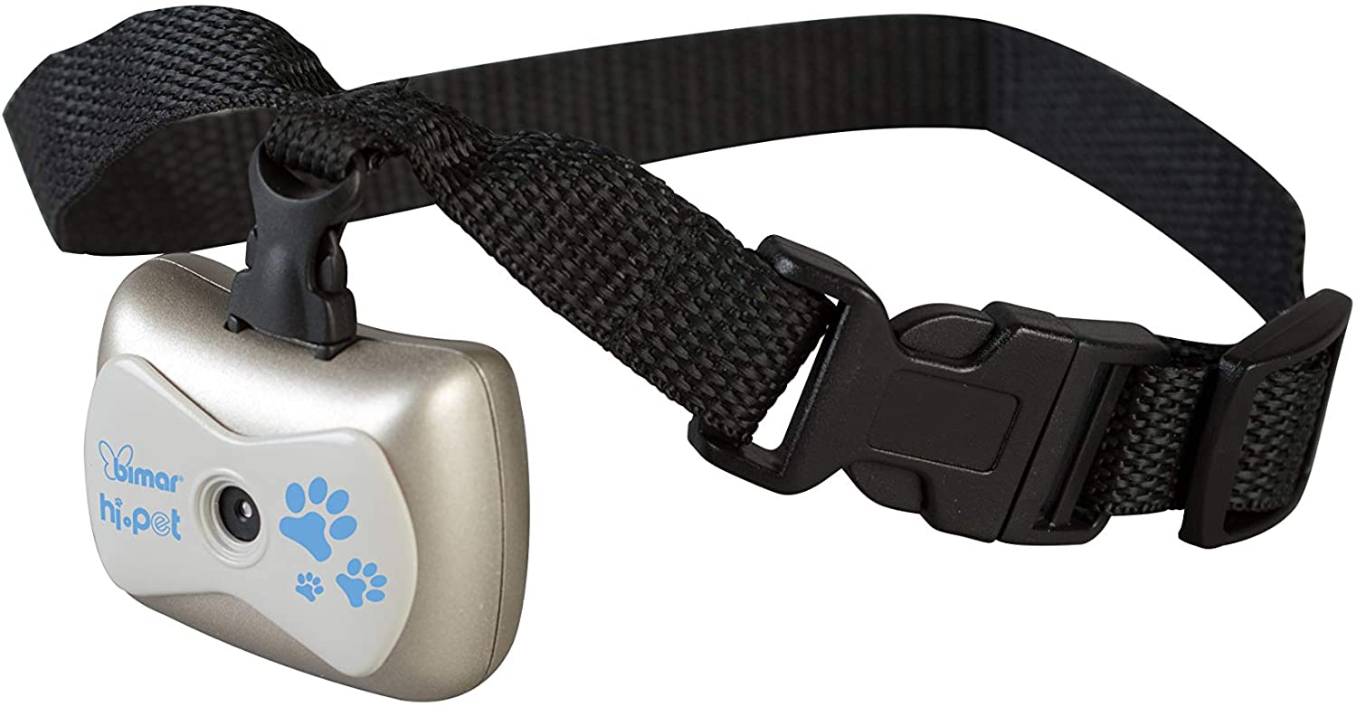  HI.PET Collar Ajustable PFTC1 con Cámera de Video Digital y Grabadora de Audio para Conocer la Vida de tu Perro, Pet Camcoder, Pantalla LCD Monocroma, Admite Tarjeta de Memoria TF de 32 GB no incluida 