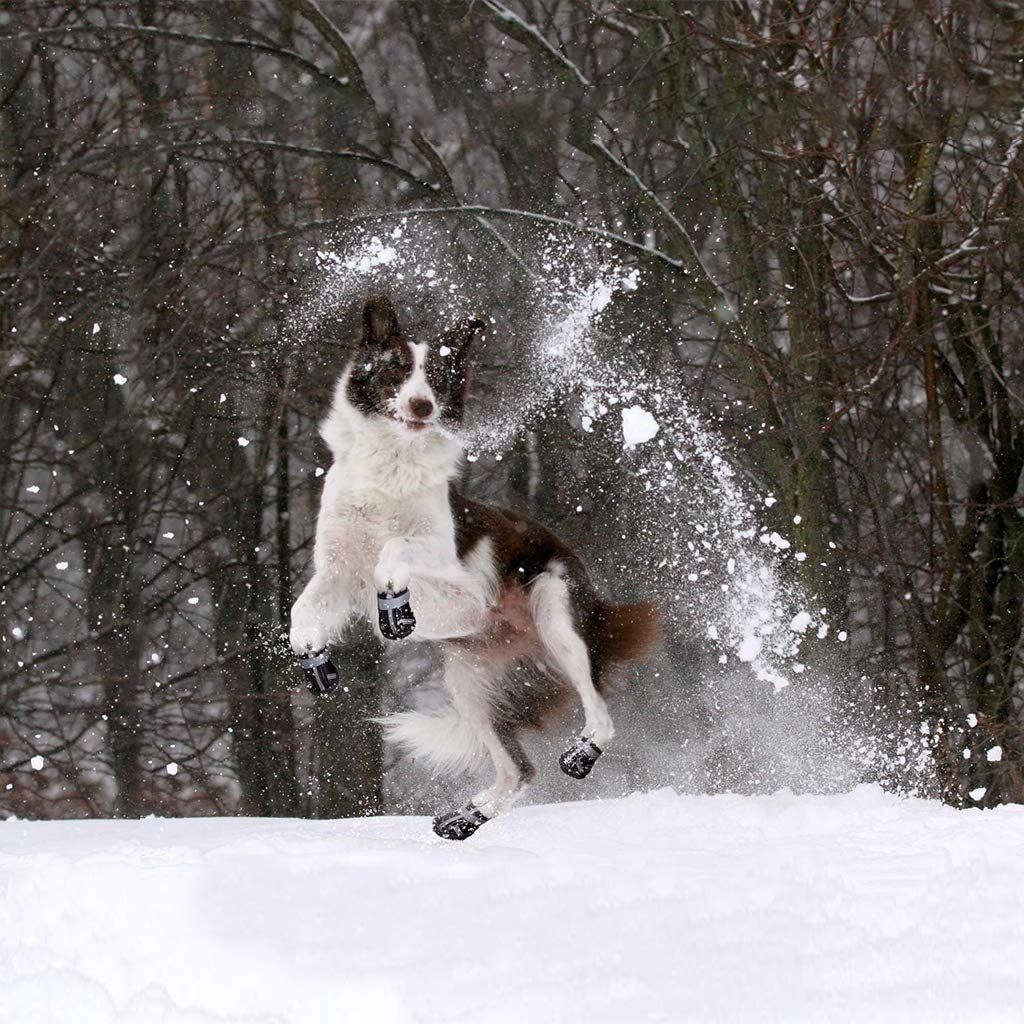  Hony Zapatos de Perro Botas de Perro - Botas para Perros Zapatos Calentar Invierno para Mascotas Impermeable Antideslizante para Perro Mediano Pequeña 