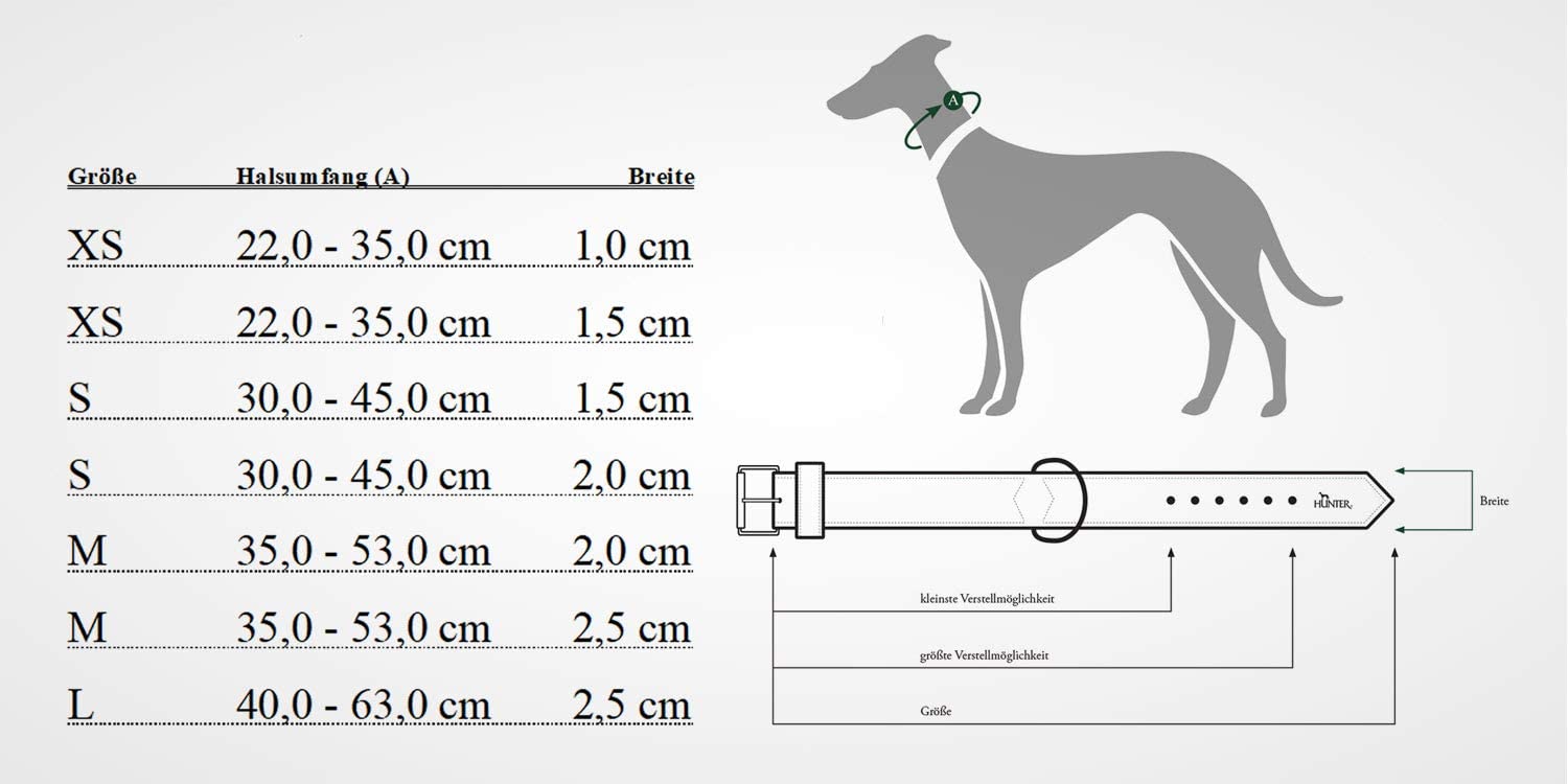  HUNTER Vario Plus - Collar de Nailon para Perro 