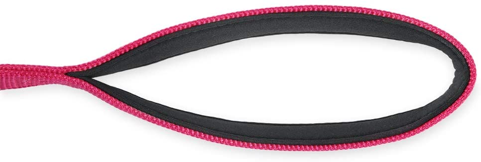  Hyhug Correa Corta de Nylon Resistente de 45,7 cm de Largo con asa Acolchada cómoda y Clip Resistente para Perros Grandes, medianos, para niños y niñas. (Rosa roja) 