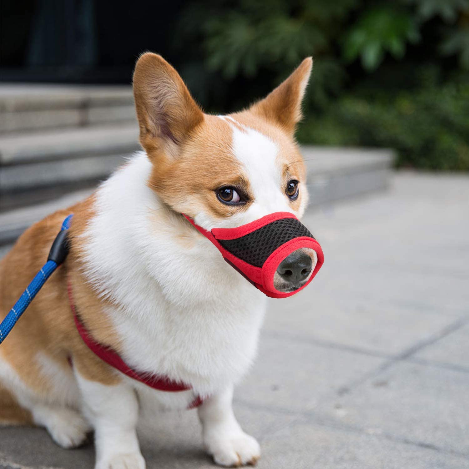  IREENUO Bozales para Perros con Lazo Ajustable Tela Suave de Malla Transpirable Prevenir para Morder, Ladrar y Comer (XL, Red) 