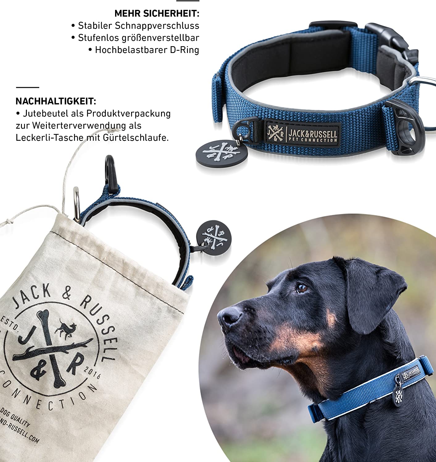  Jack & Russell Premium Collar de Perro Luna Reflectante y Neopreno Acolchado Collar de Perro Varios tamaños y Colores (Circunferencia del Cuello M (35-43 cm), Azul) 