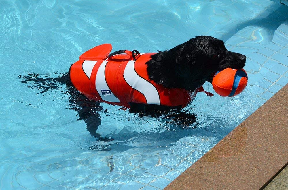  JanTeelGO Chalecos Salvavidas para Perros, Chaleco Reflectante con Sistema de Sujeción Ajustable y Mango de Rescate, Mascotas de Vida de Ahorro Abrigo para natación Surfing canotaje Caza (S, Naranja) 