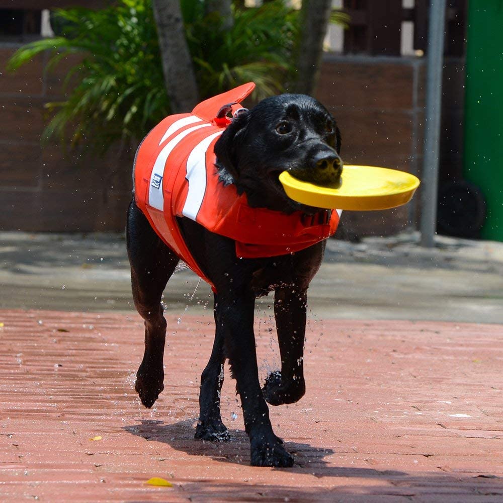  JanTeelGO Chalecos Salvavidas para Perros, Chaleco Reflectante con Sistema de Sujeción Ajustable y Mango de Rescate, Mascotas de Vida de Ahorro Abrigo para natación Surfing canotaje Caza (S, Naranja) 