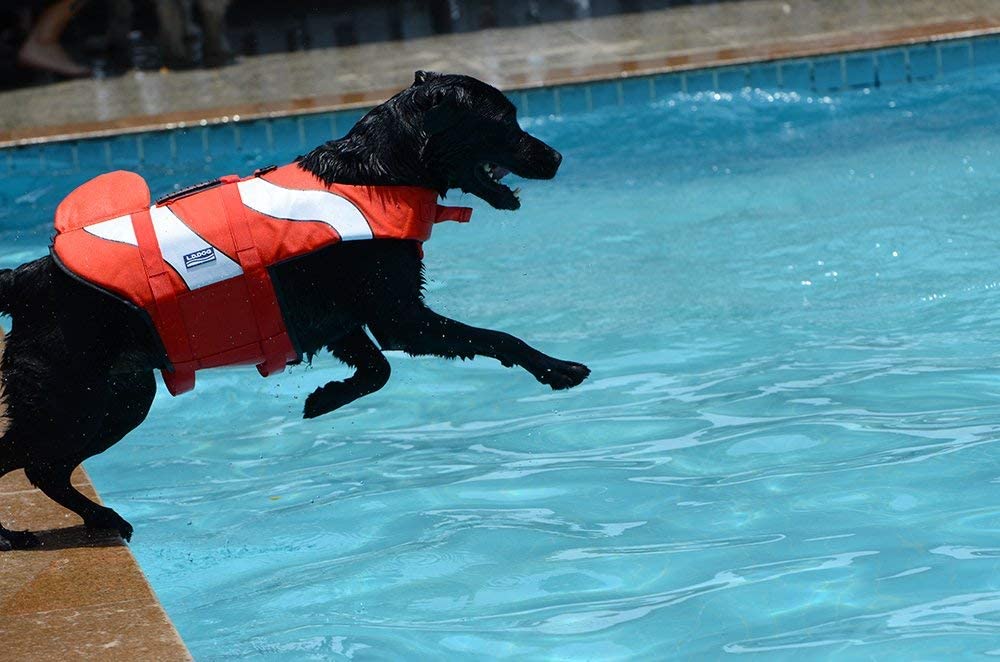  JanTeelGO Chalecos Salvavidas para Perros, Chaleco Reflectante con Sistema de Sujeción Ajustable y Mango de Rescate, Mascotas de Vida de Ahorro Abrigo para natación Surfing canotaje Caza (S, Naranja) 