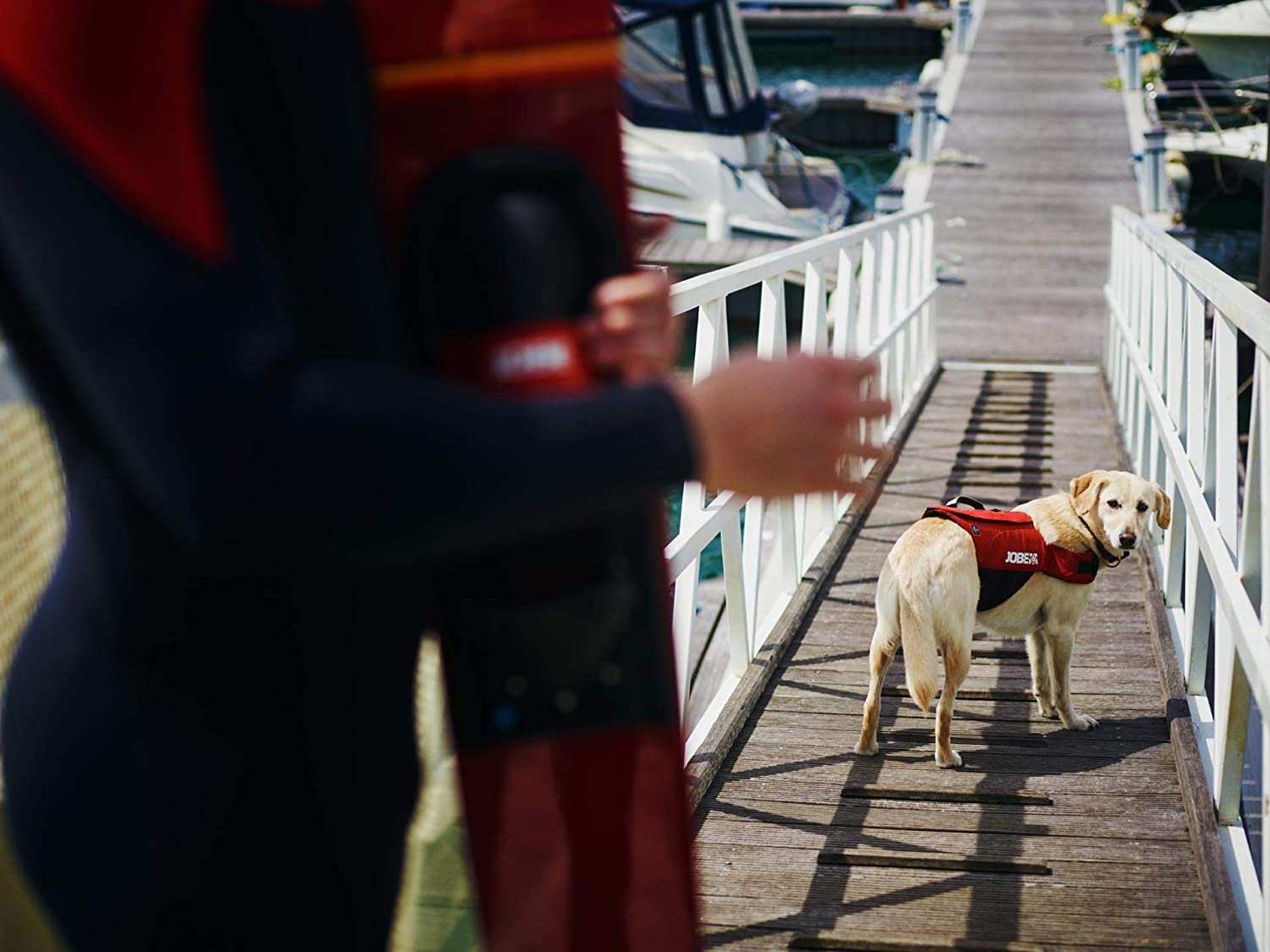  Jobe Pet - Chaleco Salvavidas para Perros 