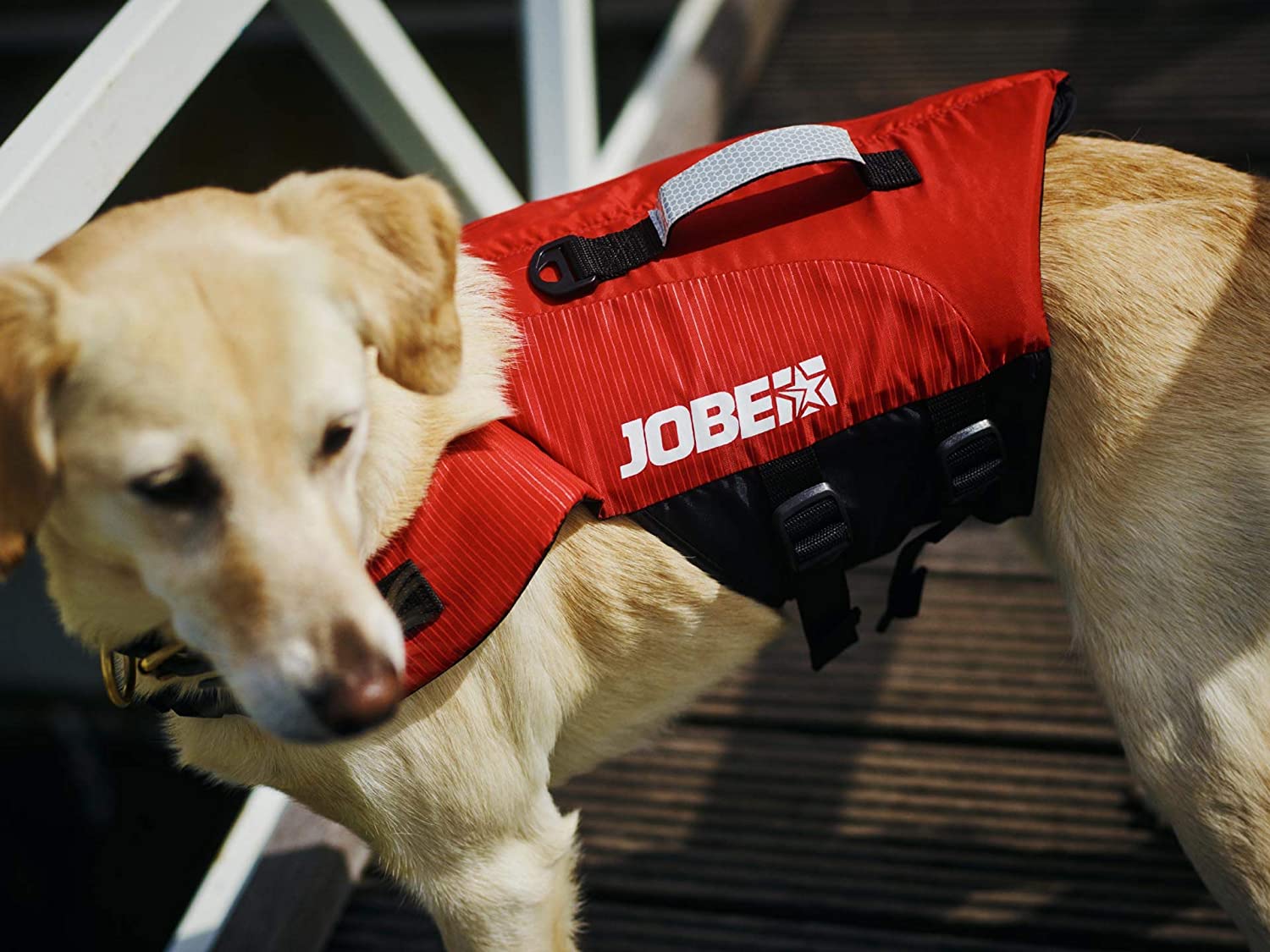  Jobe Pet - Chaleco Salvavidas para Perros 