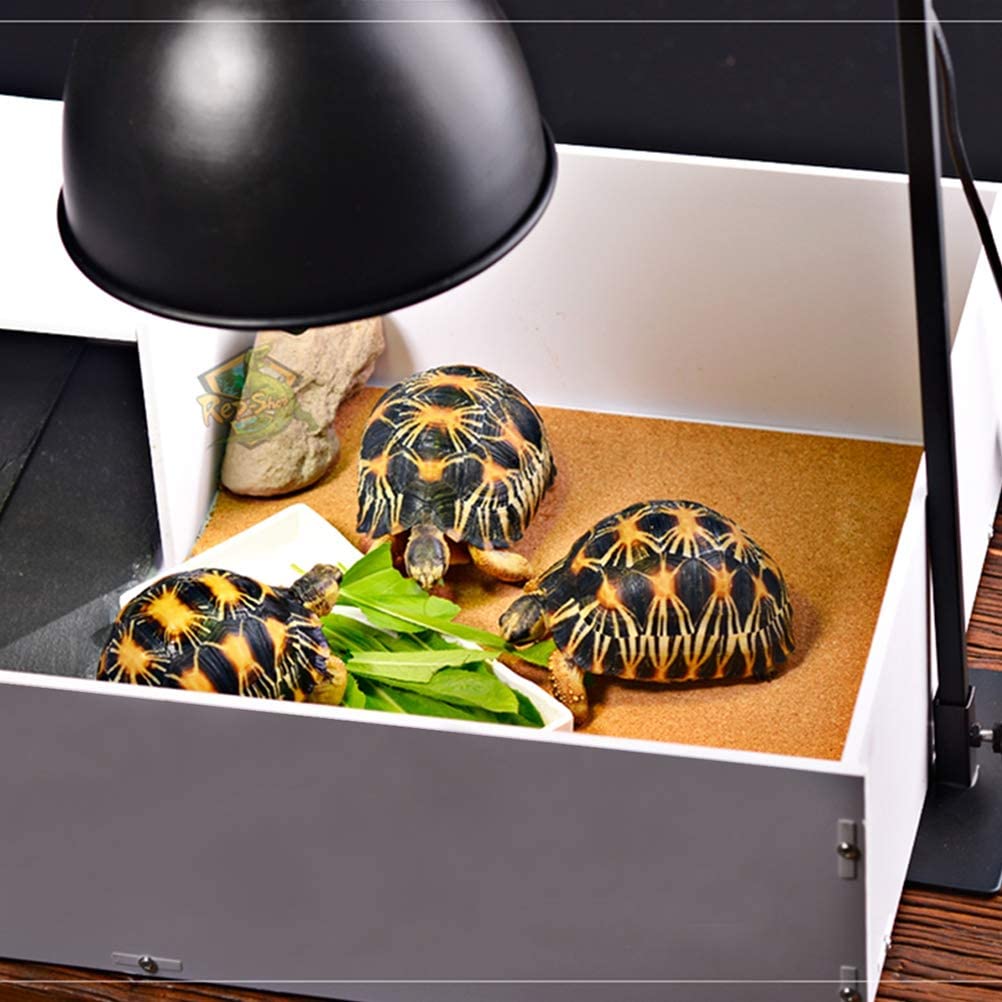  Jourbon Calentador De Tortuga Portalámparas Calentador De Reptiles Pantalla para Reptiles Terrario Pollos 300W E27 UVA/Uvb Criadora De Mascotas 