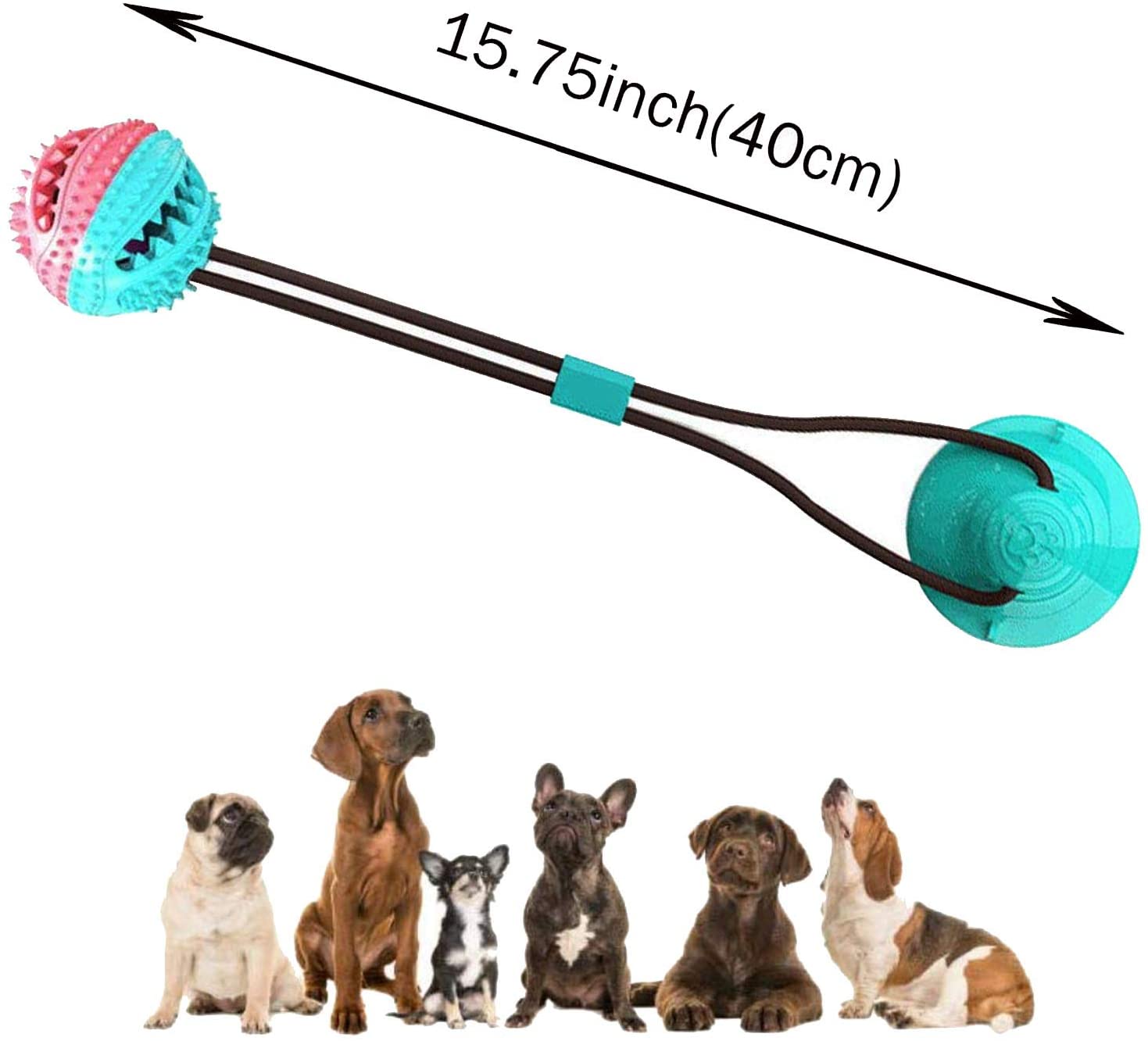  Juguete para Perros Molar,Pet Molar Bite Toy,Pelota de Goma para morder el Perro con Ventosa interactiva, Juguete para Masticar,Pelota de Entrenamiento para Cachorro Cuidado Limpieza de Dientes (Azul) 