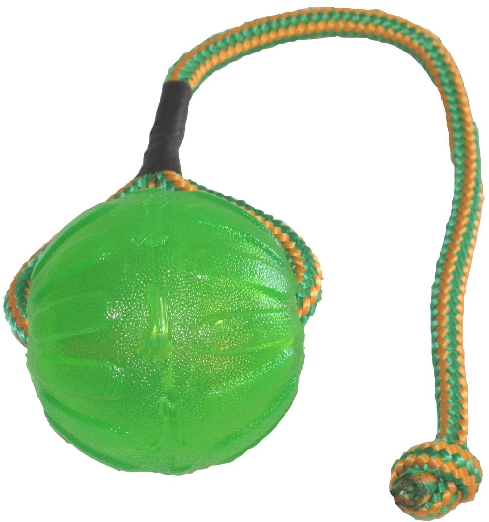  Julius K9 59836 Swing & Fling Chew Ball - M/L, 9 cm, M, Multicolor 