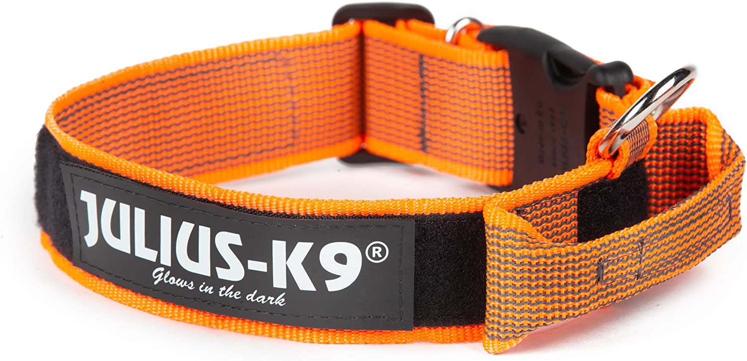  Julius-K9 Color & Gray Collar con La Manija, La Cerradura De Seguridad Y El Remiendo Intercambiables, 40 Mm (38-53 Cm), Naranja-Gris 