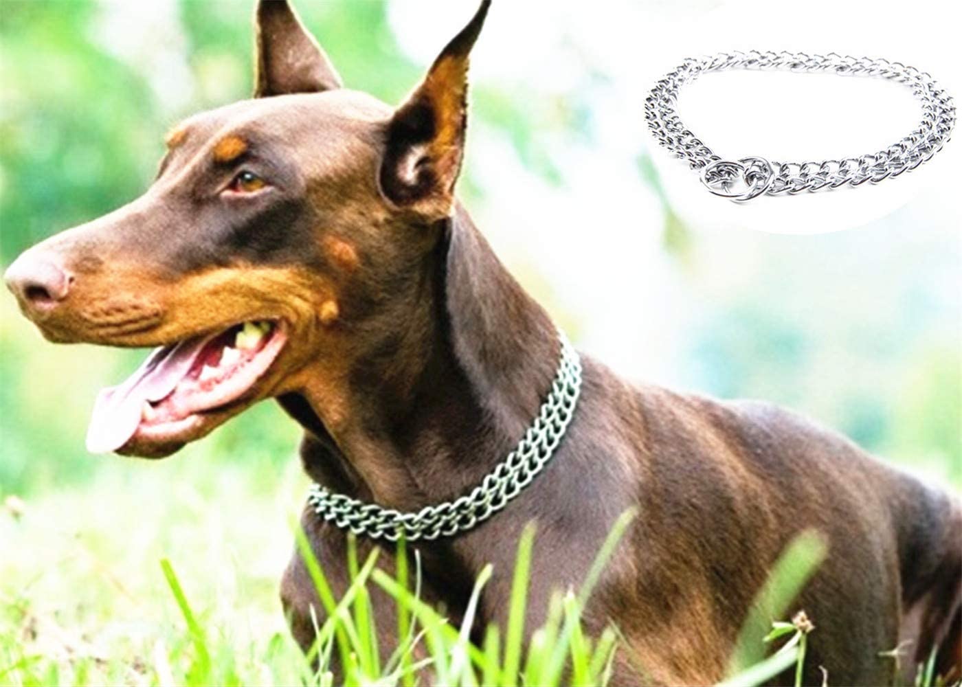  JYHY - Collar para Perro, Cadena en Forma de P y Cadena de Metal de Hierro y Doble Fila, para Entrenar a los Perros pequeños, medianos y Grandes 