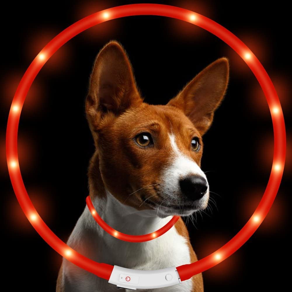  KEKU LED Collar de Perro de Mascota, llevó USB Recargable Collar de Seguridad para Mascotas Impermeable hasta la Longitud de 50 cm (19.5in) Collar de Destello Ajustable (Rojo) 