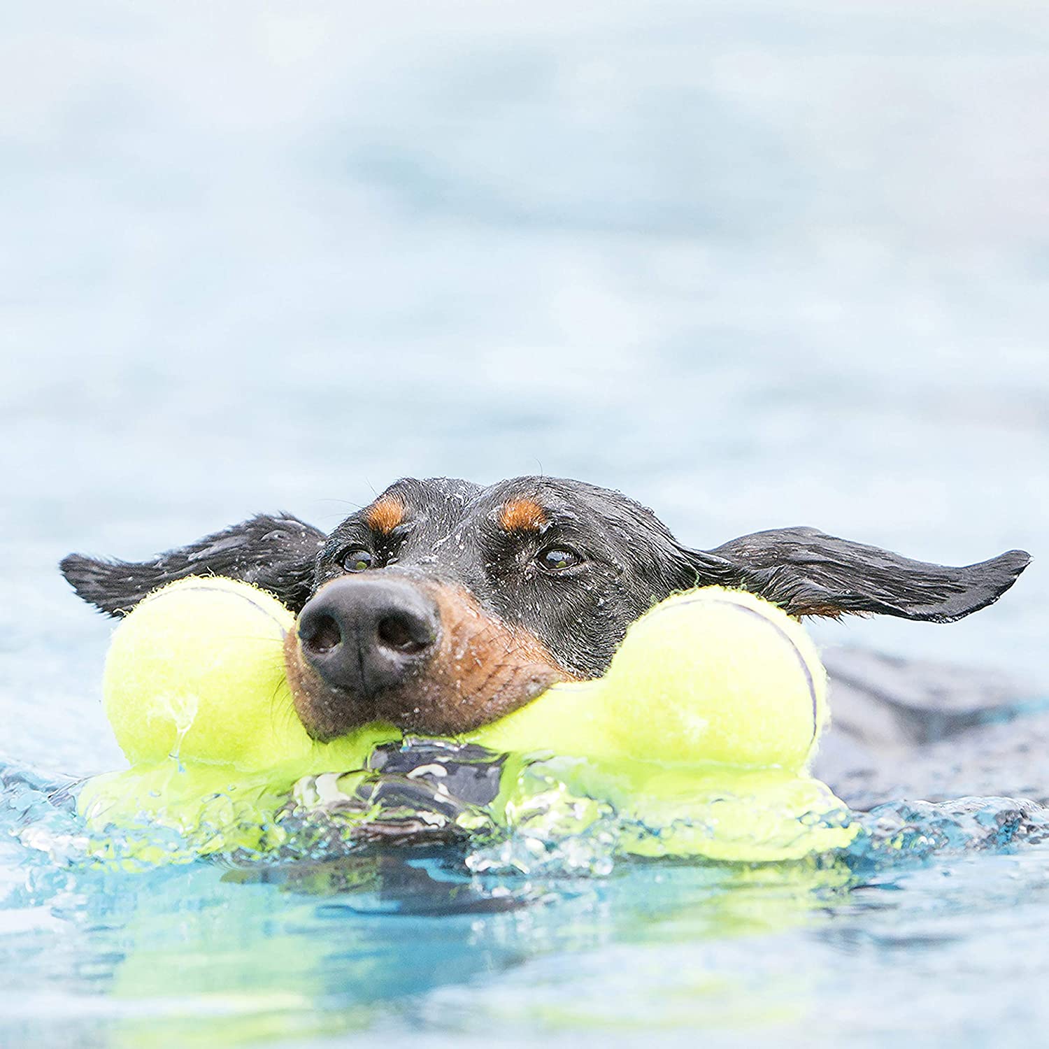  KONG - AirDog® Squeaker Bone - Juguete sonoro y saltarín, tejido pelota de tenis - Raza grande 