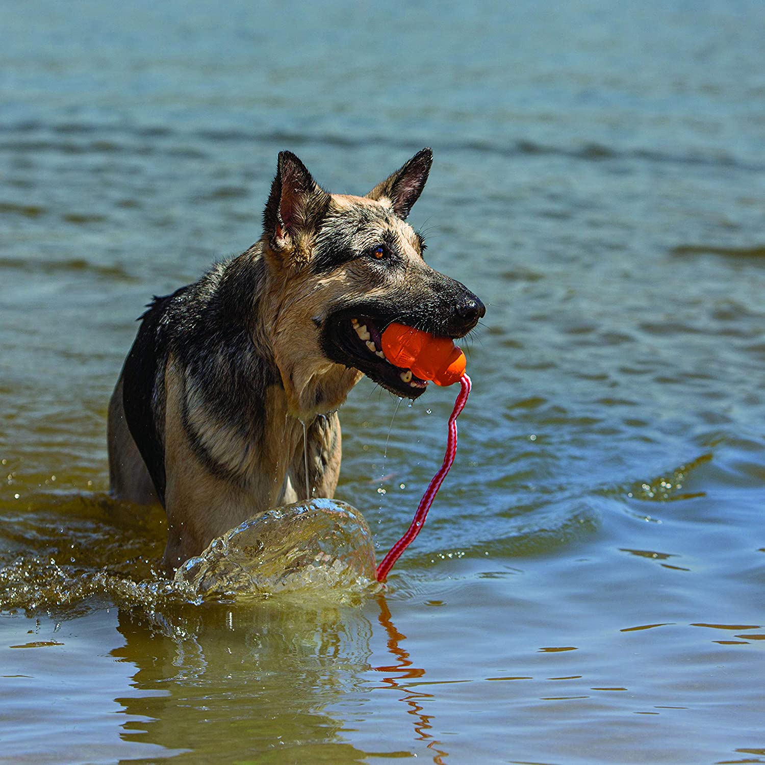  KONG - Aqua - Flotador para buscar, ideal para jugar en el agua - Raza grande 