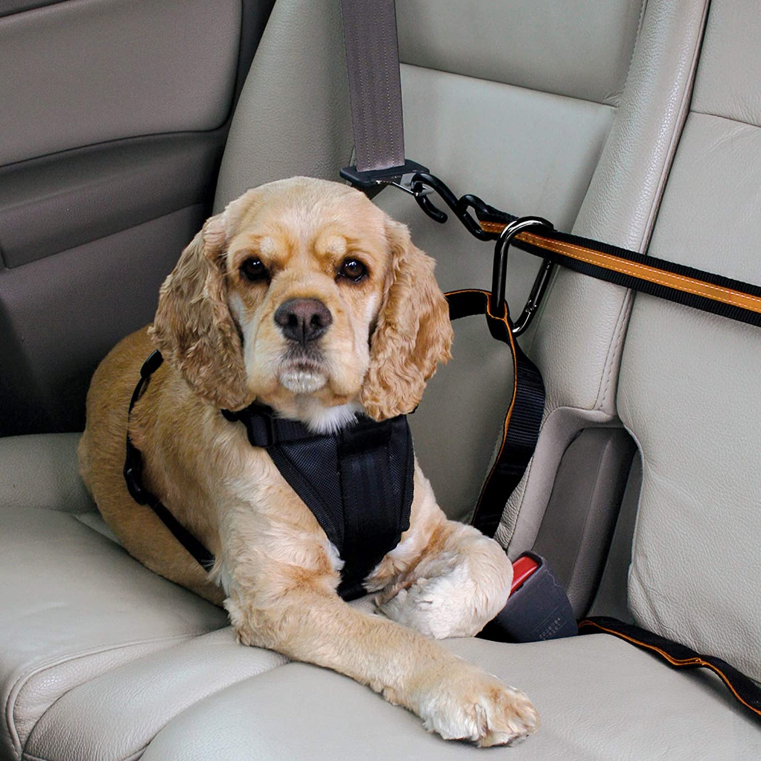  Kurgo Cinturón de Seguridad Correas para Perros con Tirolina-Arnés de Coche de Longitud Ajustable 