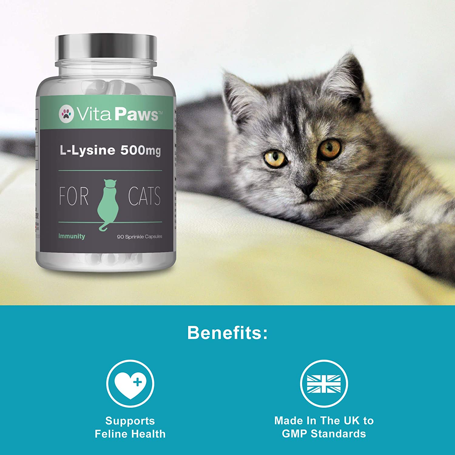  L-Lisina 500mg para Gatos - ¡Bote para 3 meses! - 90 Cápsulas - VitaPaws 