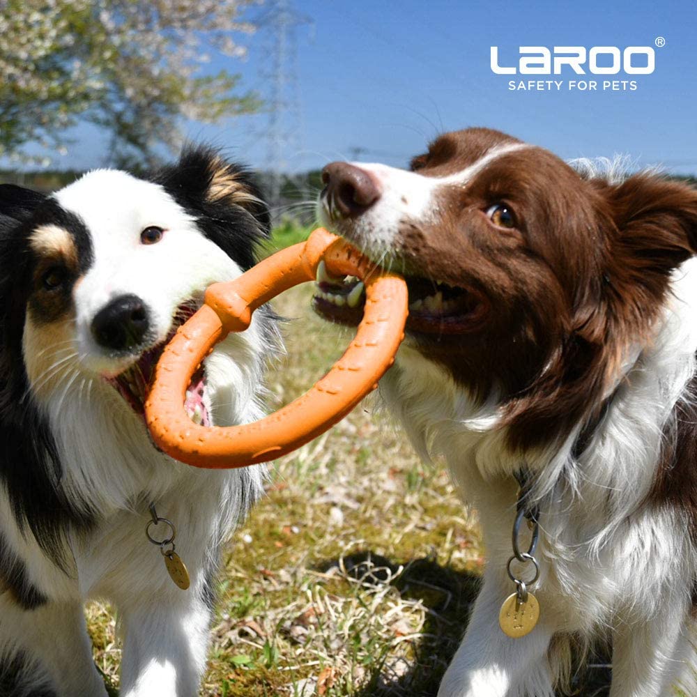  LaRoo Dog Frisbee Dog Disc Toy, Disco de Lanzamiento Duradero para Perros Fuertes para Perros pequeños, medianos y Grandes, Deporte, Ejercicio, Actividad y Juegos al Aire Libre (18 cm Naranja) 