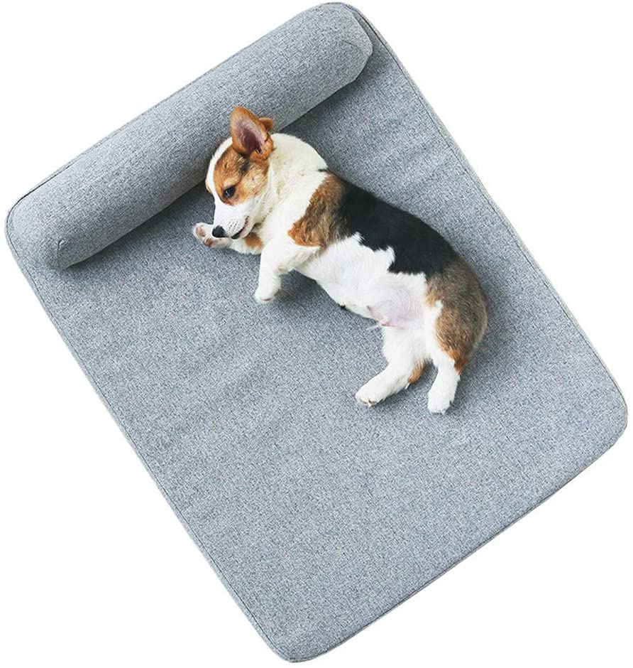  Le piccole e medie dimensioni di Letti Cane da compagnia lavabile letto Base del Gatto, un divano da compagnia rifornimenti dell'animale domestico Gatto materassini stuoie (M, L) (Size : L) 