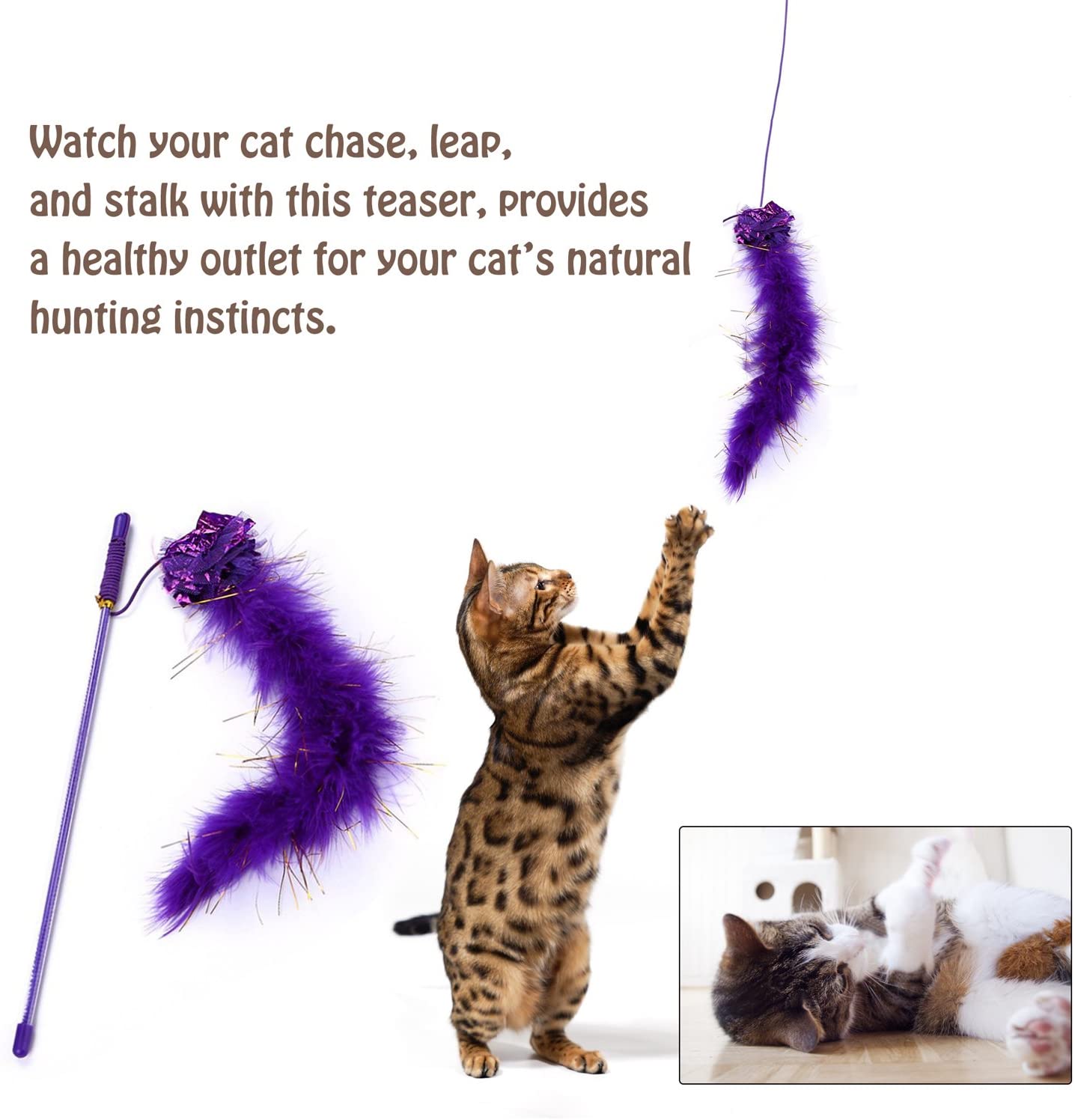  Legendog Juguetes para Gatos, 17Pcs Juguetes Gatos, Juguete Interactivo para Gatos con Plumas para Kitty (17 Pcs) 