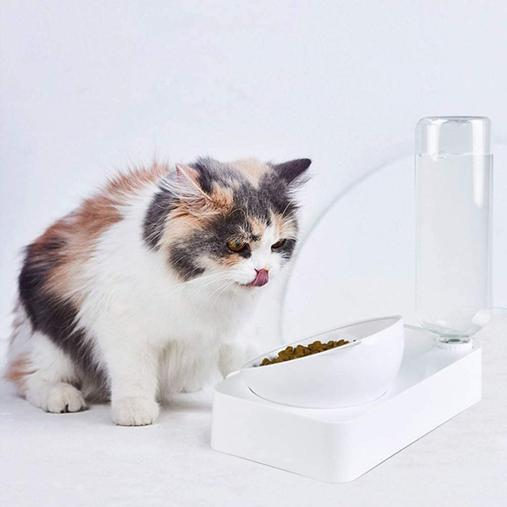  LLDKA Dispensador de Comida, alimentador del Animal doméstico, Fuente alimentaria para Mascotas alimentador automático de Agua de la Taza del Gato Bebedor Gatos domésticos Oblicua Tazón,S 