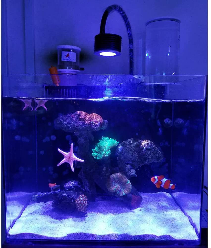  Lominie Leite Luz LED Acuario Asta 20, Iluminacion LED para Acuarios Marino Lampara LED para Peceras 30~45cm con Control Remoto(Enchufe de la UE) 