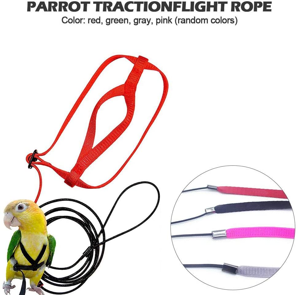  luminiu Anti-Bite Ajustable Arnés y Correa,Bird Leash con Correa Volando Anti Mordida Tracción Cuerda Entrenamiento Cuerda de Paseo Loro Cacatúa Cuello Redondo Paracakeet Cóctel Tamaño Pequeño 