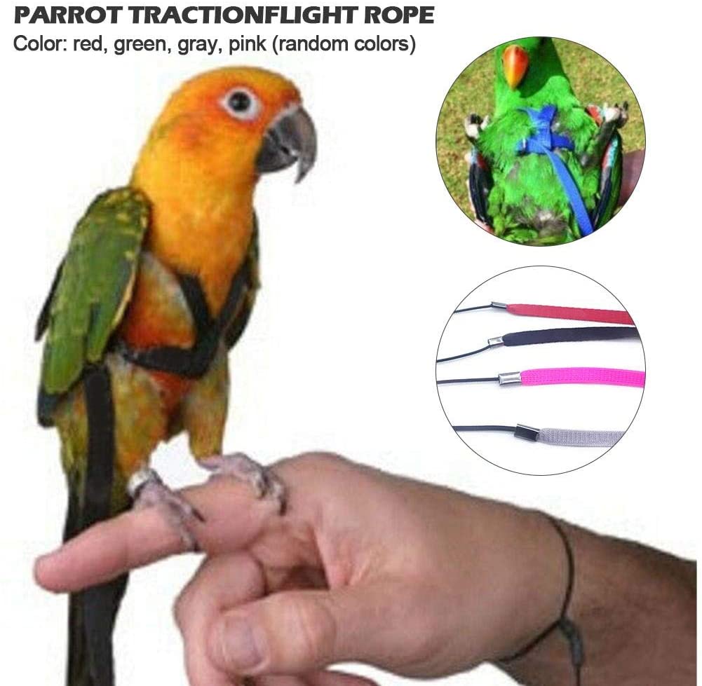  luminiu Anti-Bite Ajustable Arnés y Correa,Bird Leash con Correa Volando Anti Mordida Tracción Cuerda Entrenamiento Cuerda de Paseo Loro Cacatúa Cuello Redondo Paracakeet Cóctel Tamaño Pequeño 