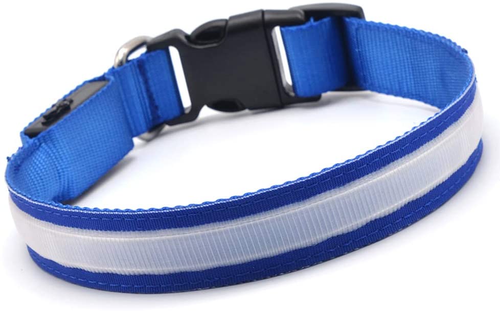  MASBRILL Collar de Perro Recargable de Seguridad LED - Collar Seguro Intermitente para Mascotas - Impermeable 