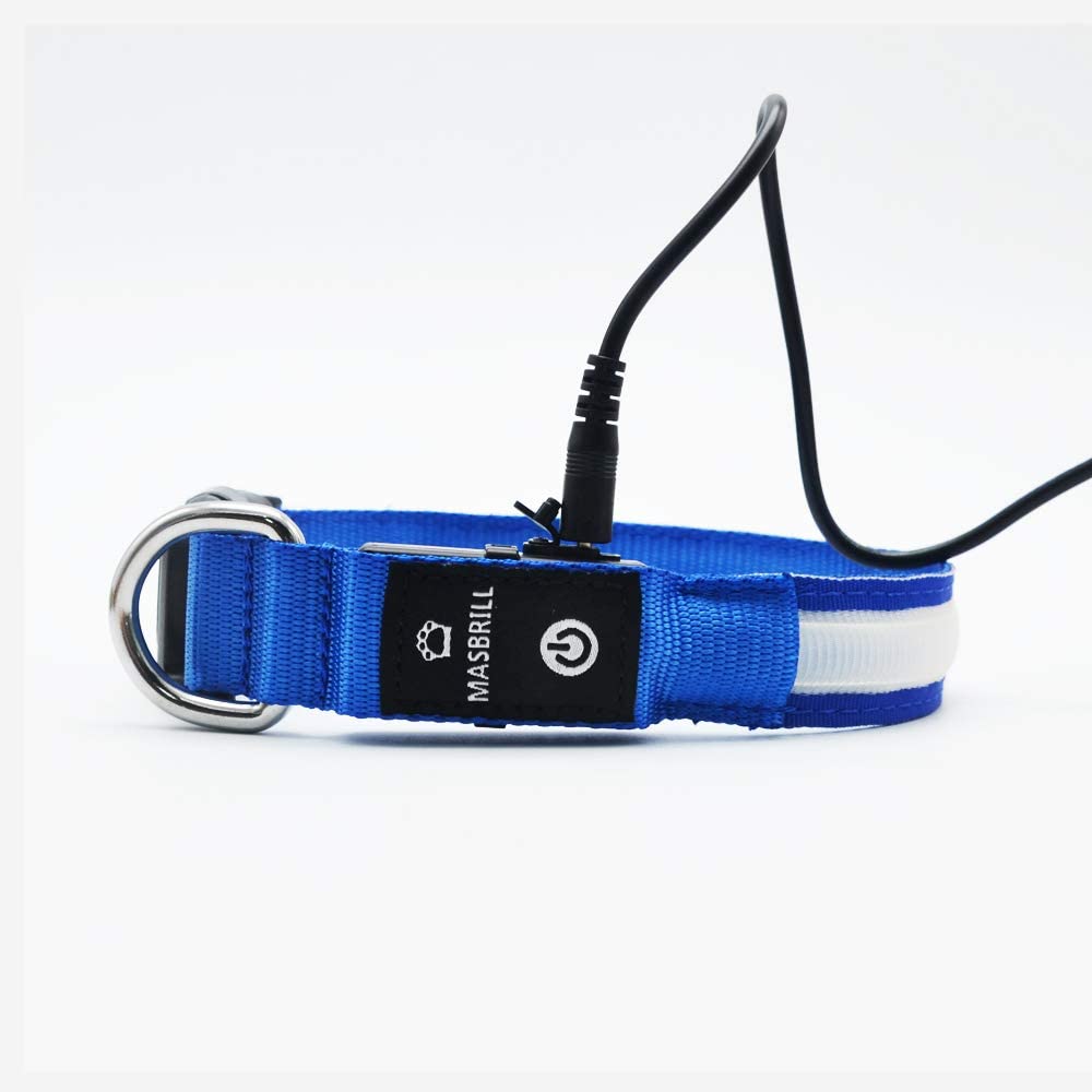  MASBRILL Collar de Perro Recargable de Seguridad LED - Collar Seguro Intermitente para Mascotas - Impermeable 