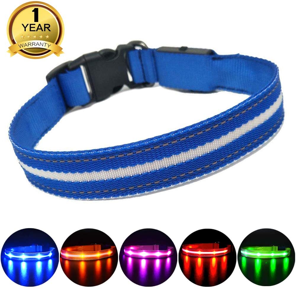  MASBRILL Cuello de Seguridad LED súper Brillante DC Recargable para Perros - excelente Visibilidad y Seguridad - Resistente al Agua 