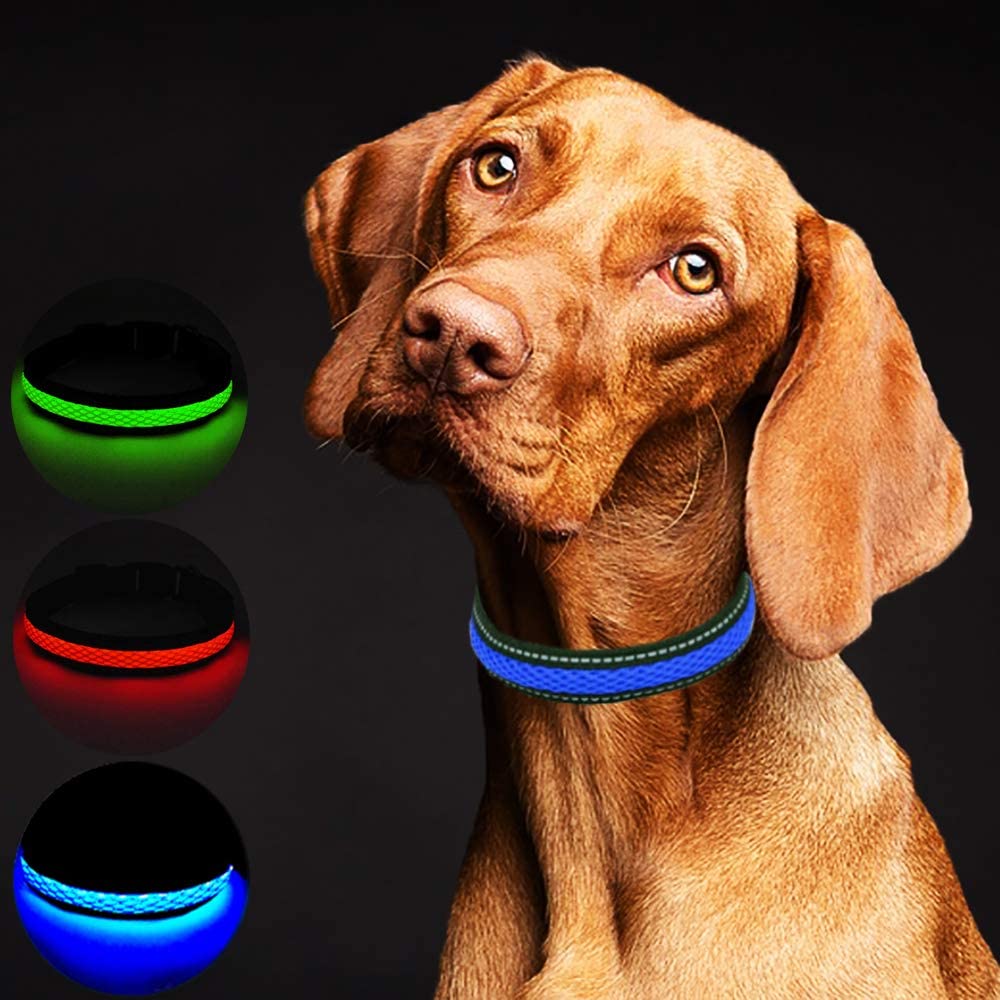  MASBRILL USB Collar de Perro LED Recargable Iluminado Collar Intermitente Luces La Seguridad Ajustable Neck Loop 