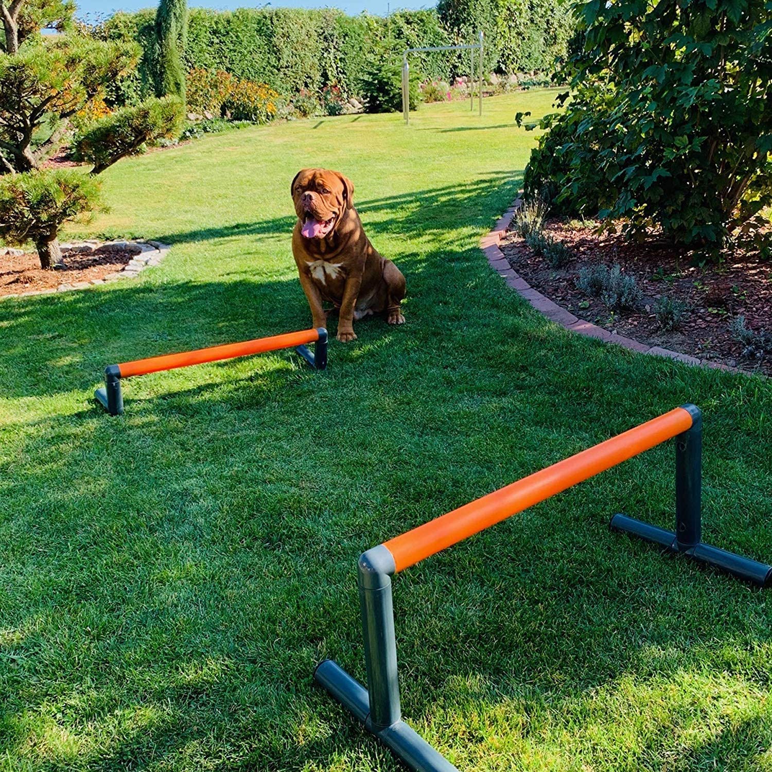  move and stic – Perro Agility-Hürde Slalom Ejercicio Perro Deportes Entrenamiento Hurdle Set Extra Robusto Desde 5 cm Kunstoffrohren Variable Ajustable 