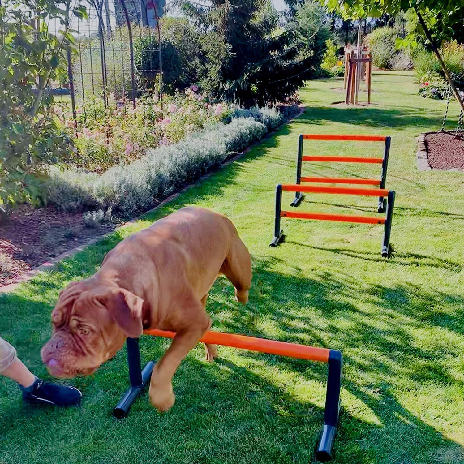  move and stic – Perro Agility-Hürde Slalom Ejercicio Perro Deportes Entrenamiento Hurdle Set Extra Robusto Desde 5 cm Kunstoffrohren Variable Ajustable 