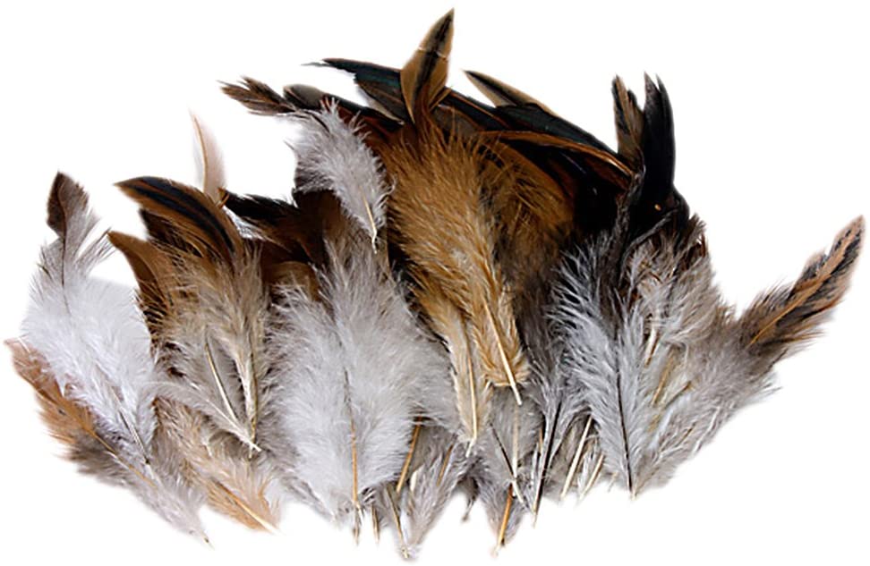  Natural Decoration Rooster Cock Feather-Ideal for Costumes, Hats, Home Decor, etc (accesorio de disfraz) 