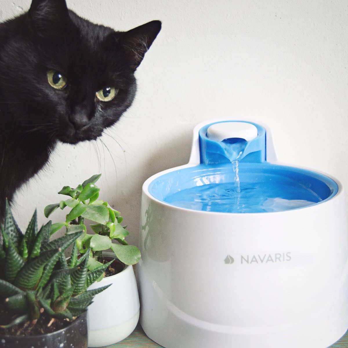  Navaris Fuente de Agua para Gatos y Perros - Bebedero de 2 litros con Filtro y Bomba Sumergible - Dispensador de Agua con Flujo Ajustable Color Azul 