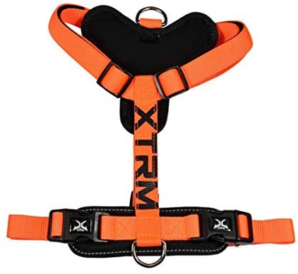  Nayeco Arnes X-Trm Cronos Neon Flash Naranja 25Mm X 60-100Cm 