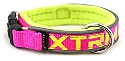  Nayeco - Collar para Perros xtrm Neon Flash 