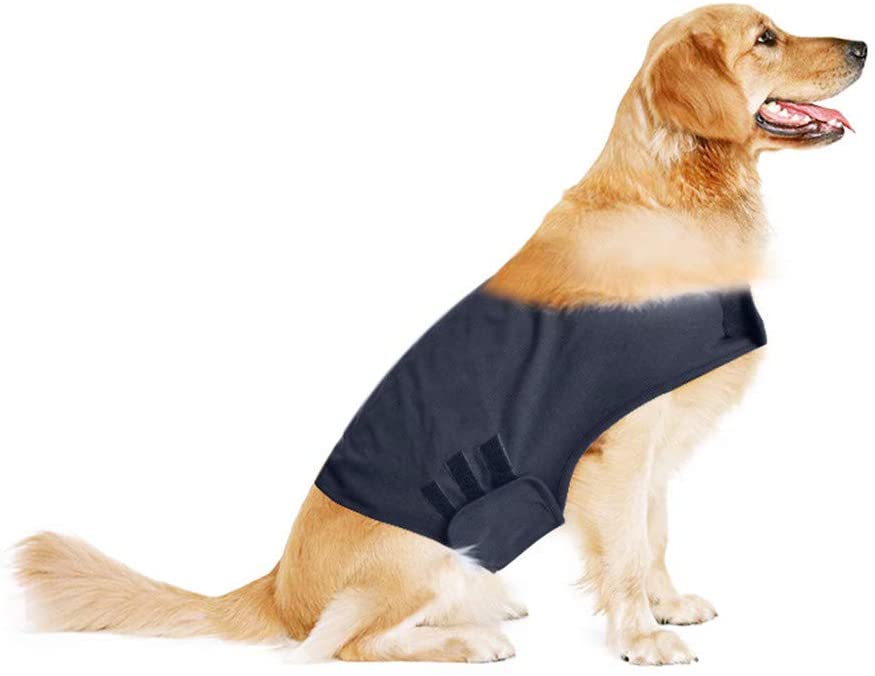  Nibesser beruhigung Chaleco para Perros Perros Mantel para Combatir el Miedo Miedo Vajilla Perro Anxiety Camiseta Mascotas Emotiva Calmantes Perros Miedo Chaqueta Perros Mascotas Ropa de Alivio 