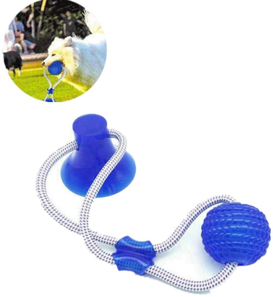  Nifogo Juguetes para Perros，Juguete Perro Juguete Multifuncional para Mordedura para Mascotas, Pelota Perro Pelota De Goma，Juegos Interactivos para Perros，Juguetes Perros Pequeños(Azul, 1PC) 