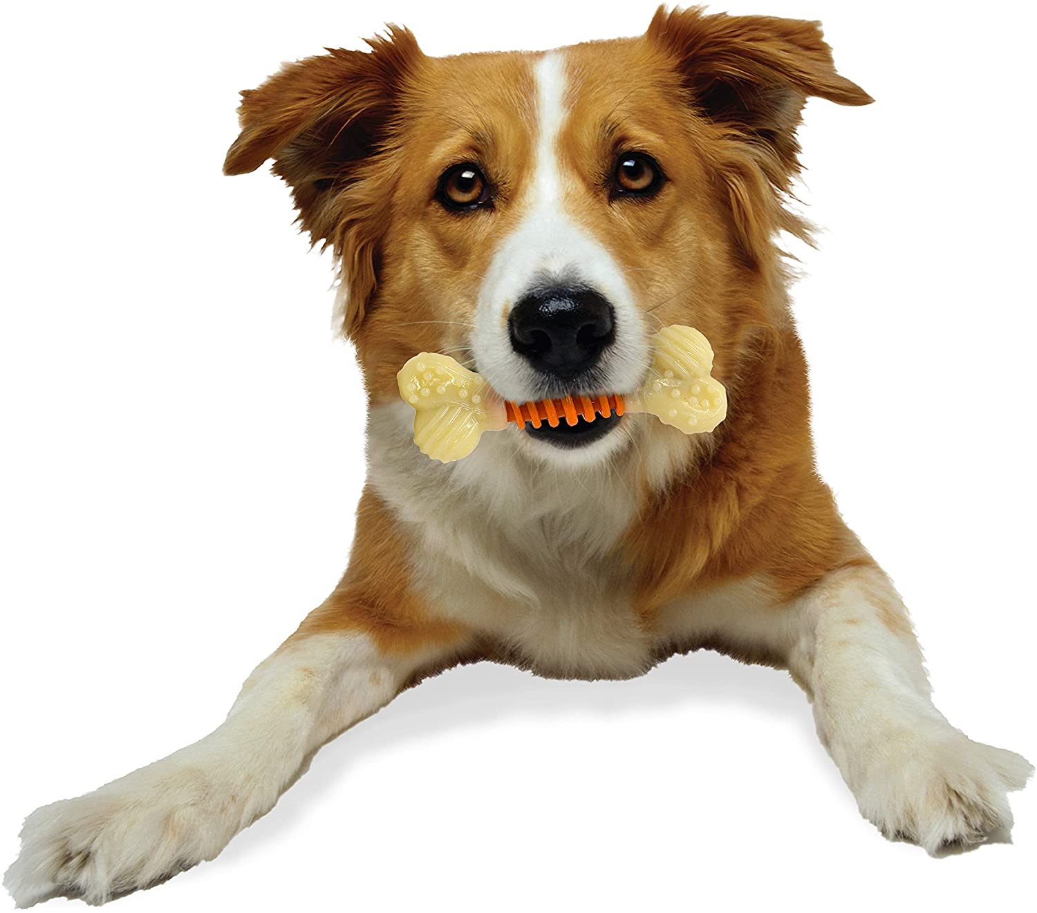  Nylabone Hueso masticable Doble de la Gama Extreme Juguete masticable para la higiene Dental de los Perros | Sabor a beicon | Grande | para Perros de hasta 16kg 