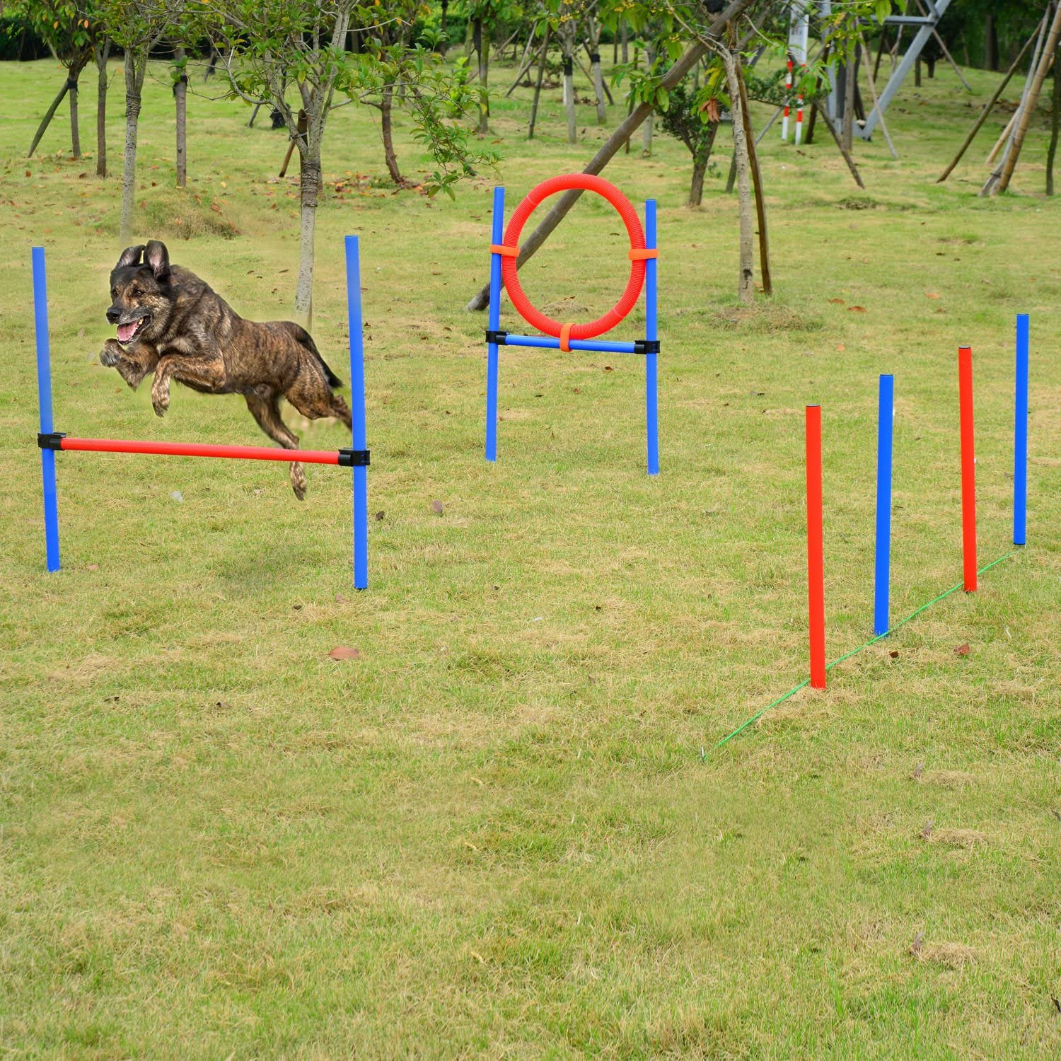  PawHut Set Agility Entrenamiento Perros Agilidad Salto Polo Tunel Equipo Azul Rojo NUE 