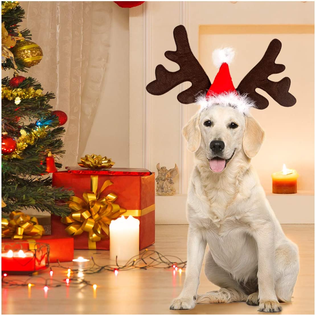  PEDOMUS Perro Gato Disfraz Navidad Mascota Reno Cornamenta Diadema Ciervo Sombrero Fiesta Disfraz para Perro Cachorro Gatito 