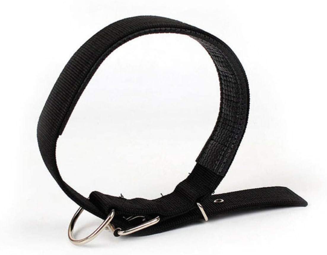  PENVEAT Collar de Perro con Correa de Nylon Ajustable para Perros pequeños Grandes Cachorro Accesorios para Mascotas Collar de Cuero para Perros Golden Retriever Husky Neck, Negro, S 