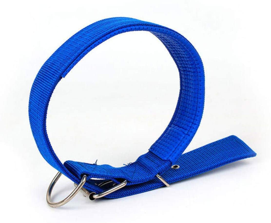  PENVEAT Correa de Nailon Ajustable para Perros pequeños y Grandes, Accesorios para Mascotas, Collar de Piel para Perros Golden Retriever Husky 