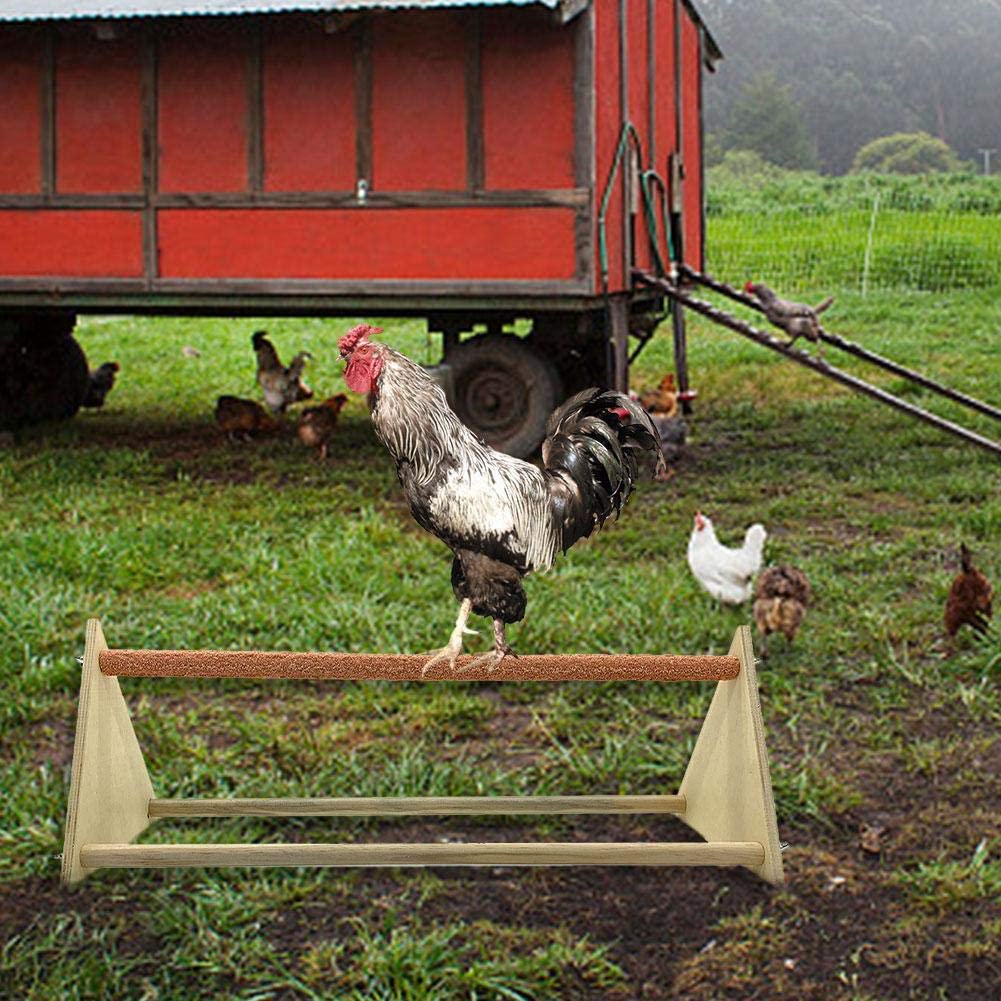  perfecti Perchas para Pájaros Soporte De Madera para Gallina Columpio Hecho A Mano, Juguete De Madera Natural para Loros, Guacamayos Africanos Y Periquitos Grises 