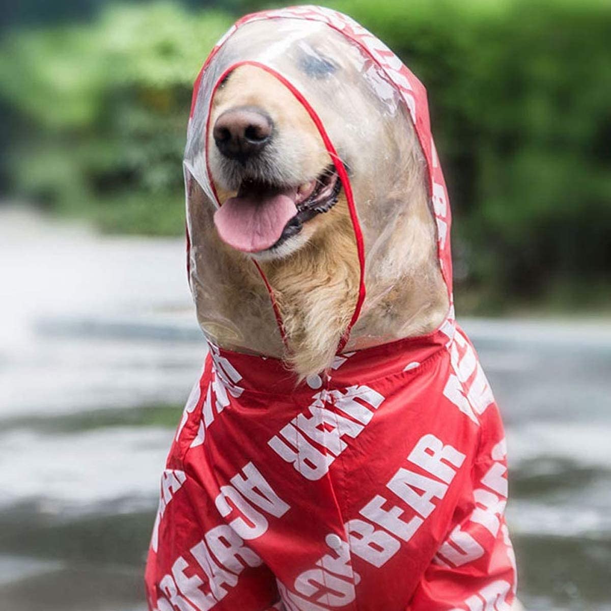  PETCUTE Impermeable para Perros Impermeable con Capucha Chubasquero Perro de Raza Mediana Grande Chubasqueros para Perros 