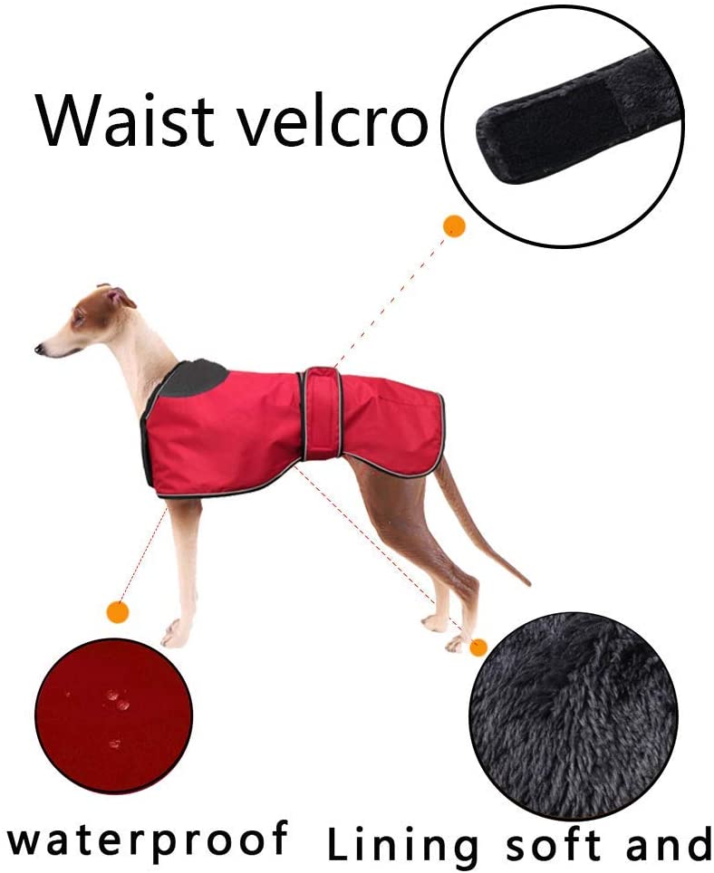  Pethiy Chaqueta Impermeable para Perros, Abrigo de Invierno para Perros con Forro de vellón cálido, Ropa para Perros al Aire Libre L(Back Length 61CM / 24in) Rojo 