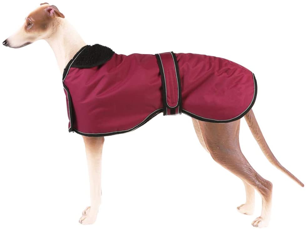  Pethiy Chaqueta Impermeable para Perros, Abrigo de Invierno para Perros con Forro de vellón cálido, Ropa para Perros al Aire Libre L(Back Length 61CM / 24in) Rojo 