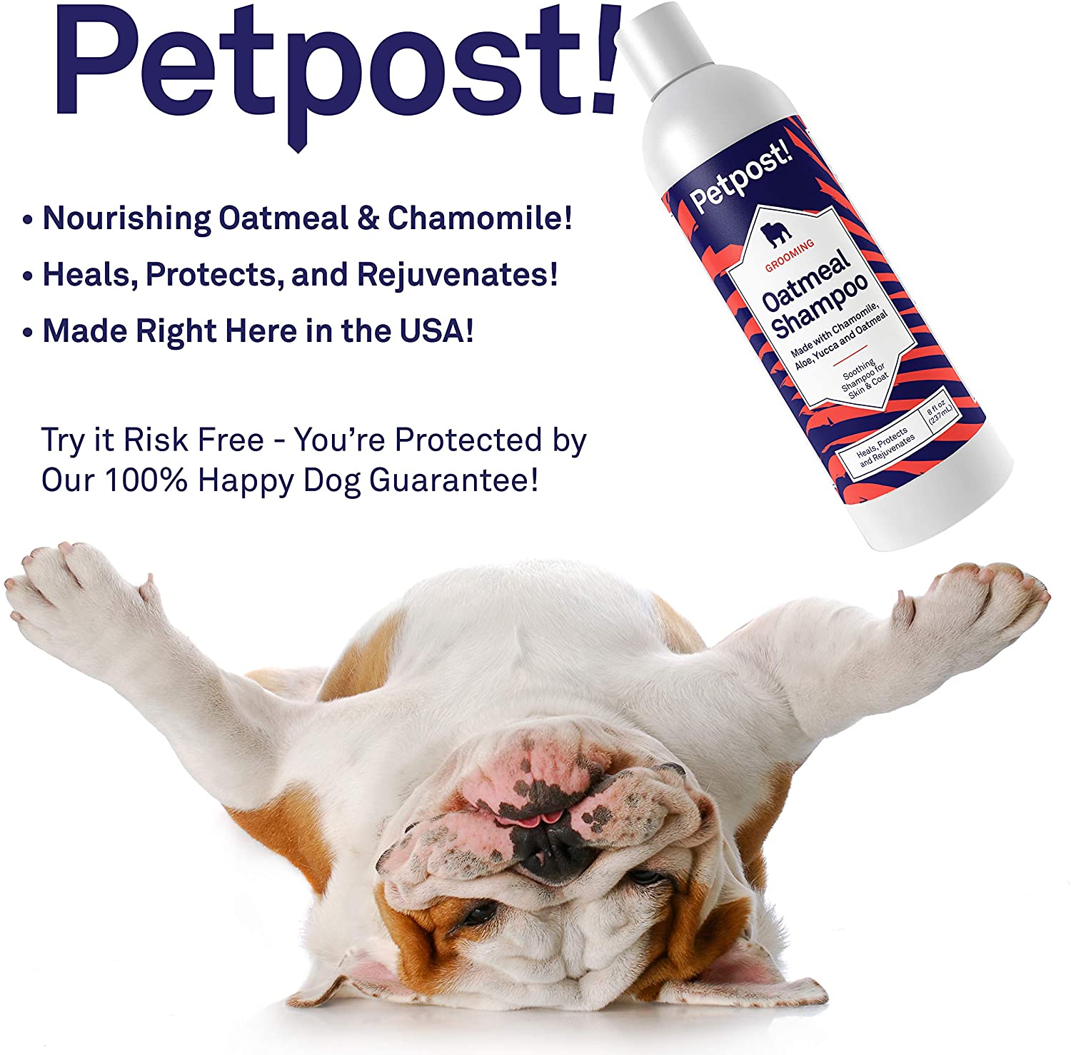  Petpost | Champú De Avena Y Manzanilla para Perros con Piel Seca: Cura, Protege Y Rejuvenece De Forma Natural La Piel Y El Pelaje De Los Perros: Fórmula De Avena, Manzanilla, Aloe Y Yuca (237 ml) 